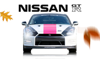 Stage de pilotage Nissan GTR